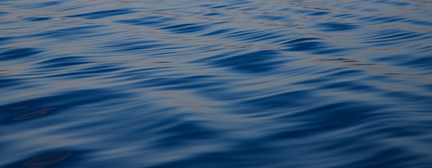 Finnofleet Pfandbrief Header-Bild